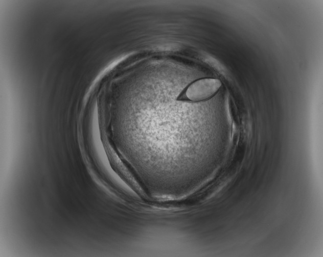 X0000085230726200703301725