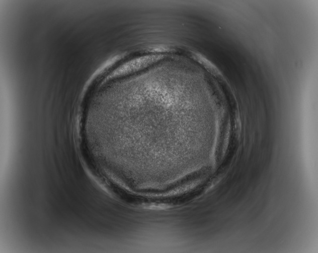 X0000085230730200703301725