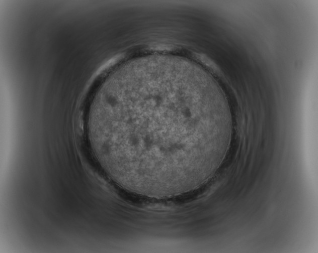 X0000085230731200703301725