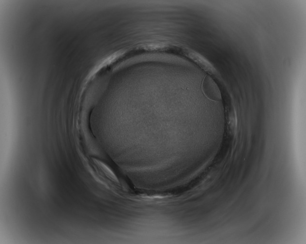 X0000085230732200703301725