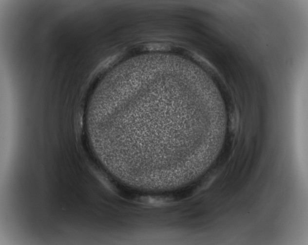 X0000085230733200703301725