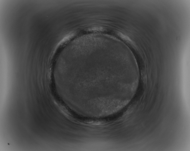 X0000085230735200703301725