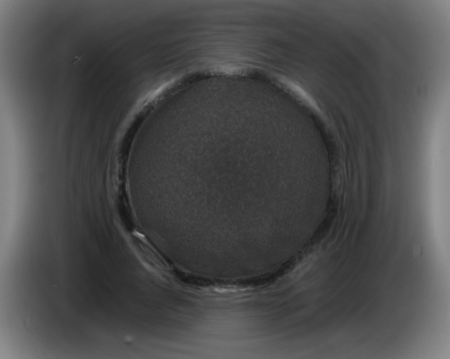 X0000085230736200703301725