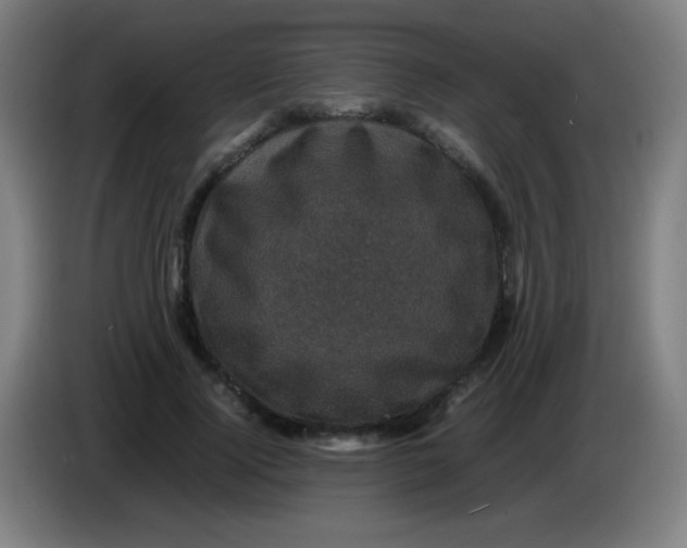 X0000085230740200703301725