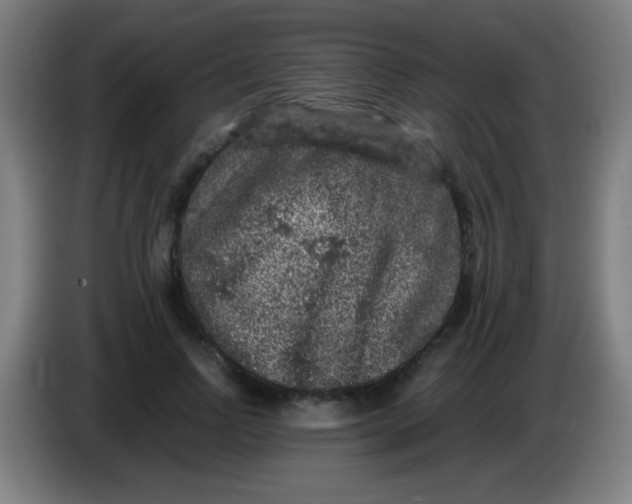 X0000085230742200703301725