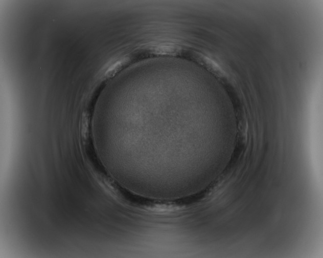 X0000085230744200703301725