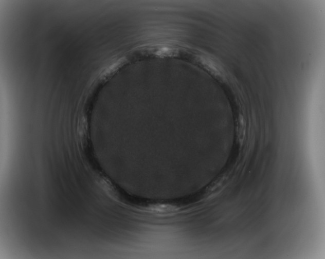 X0000085230748200703301725