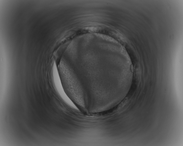 X0000085230750200703301725