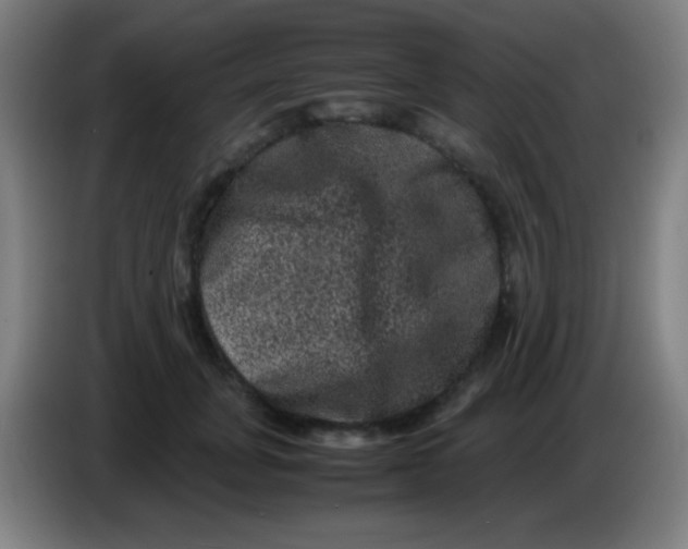 X0000085230751200703301725