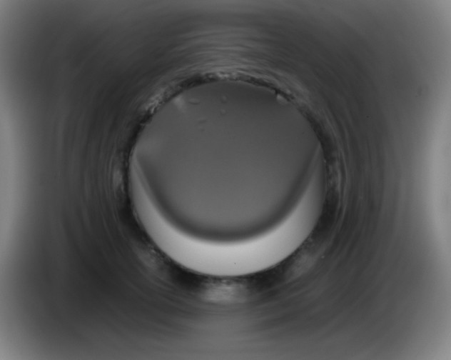 X0000085230754200703301725