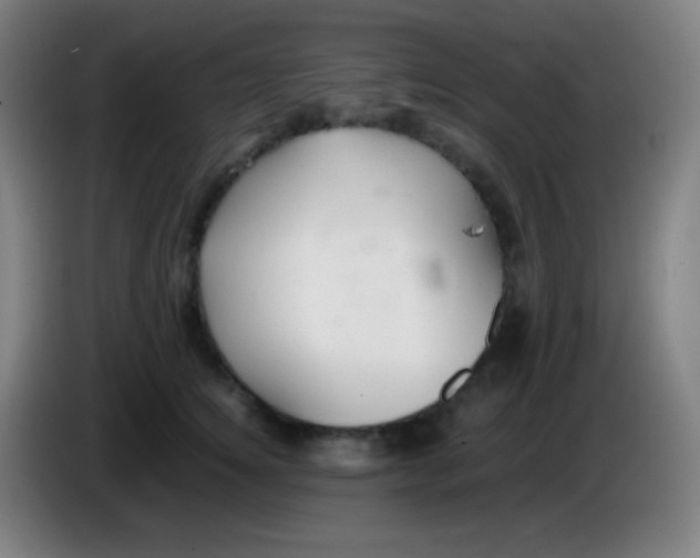 X0000085230756200703301725