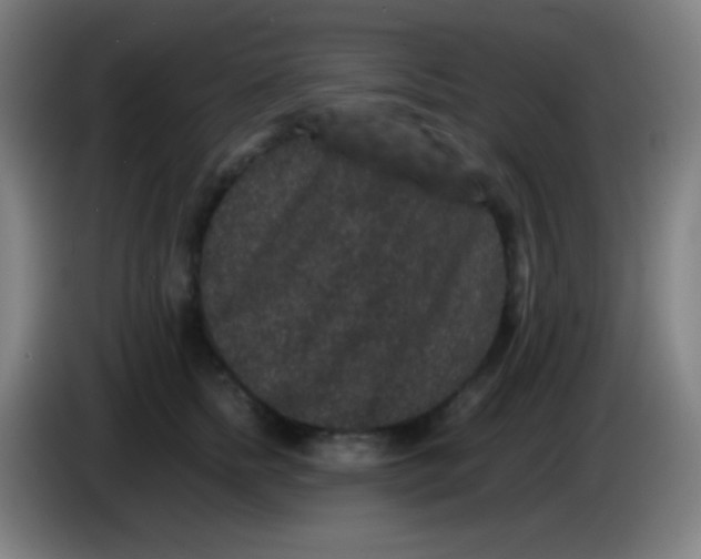 X0000085230758200703301725