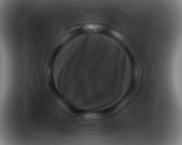 X0000085230759200703301725