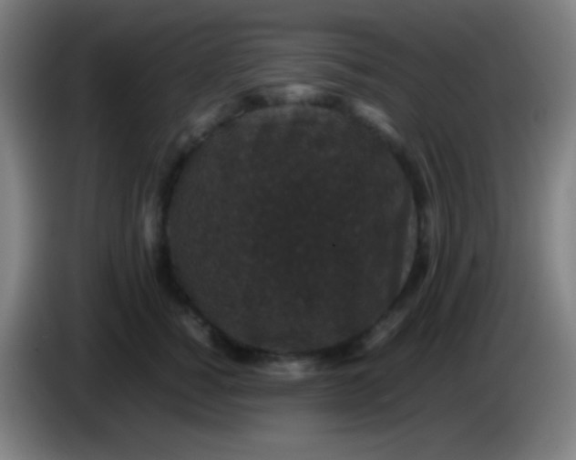 X0000085230760200703301725