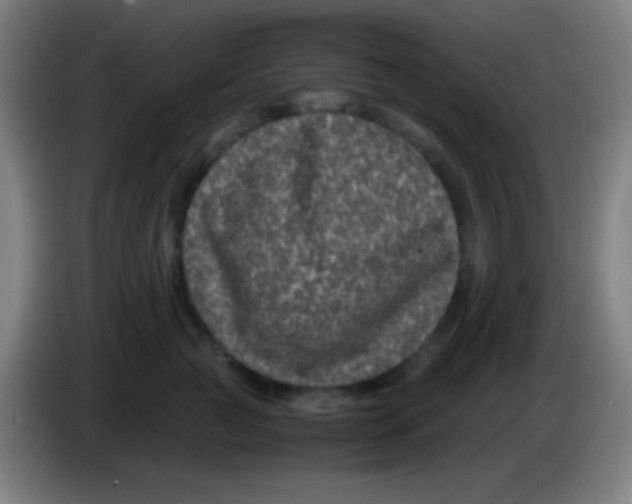 X0000085230761200703301725