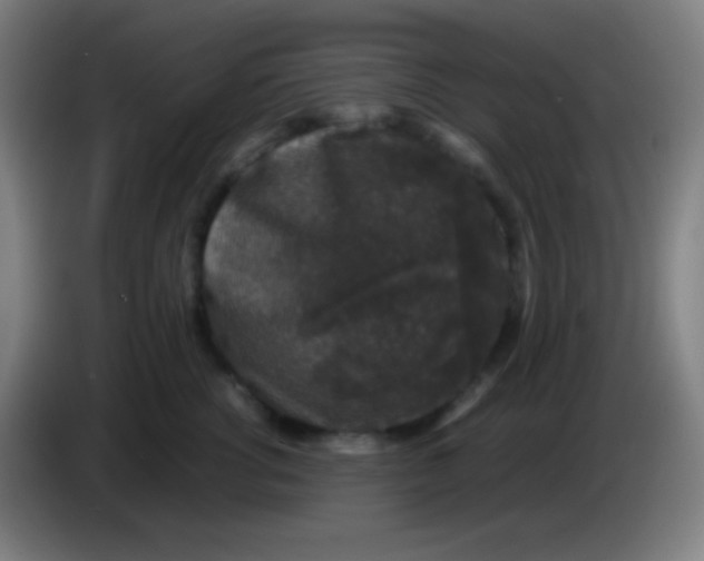 X0000085230762200703301725