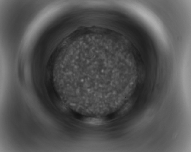 X0000085230765200703301725