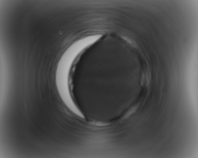 X0000085230766200703301725