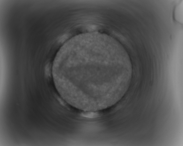 X0000085230768200703301725