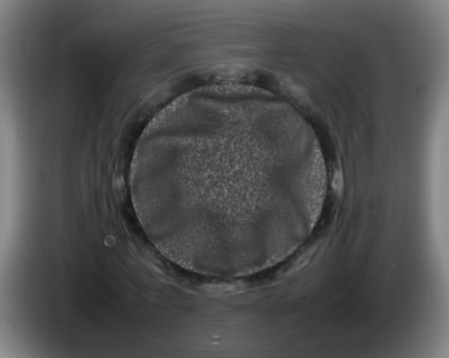 X0000085230771200703301724