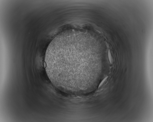 X0000085230772200703301724