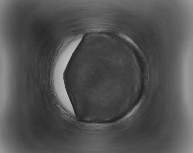 X0000085230777200703301724