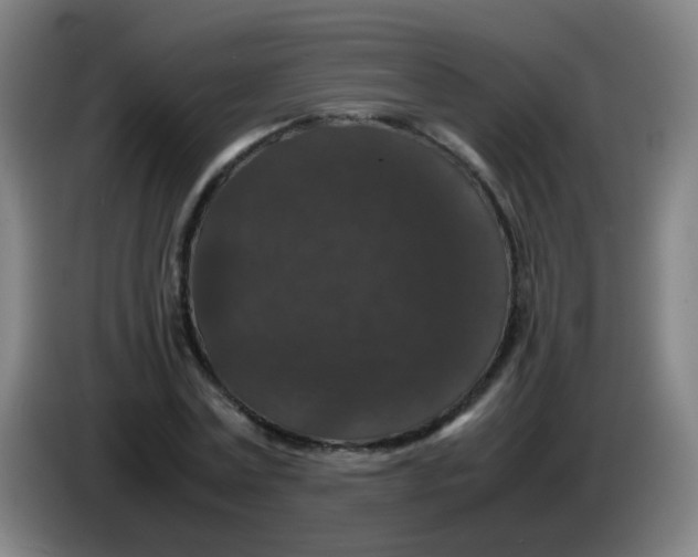 X0000085230779200703301724