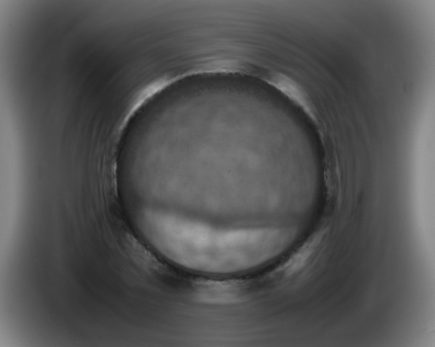 X0000085230781200703301724
