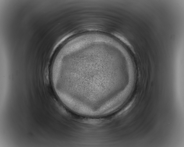 X0000085230782200703301724