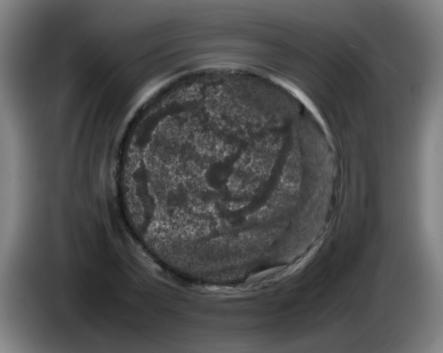 X0000085230783200703301724