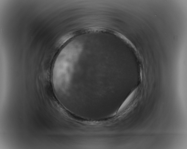X0000085230785200703301724
