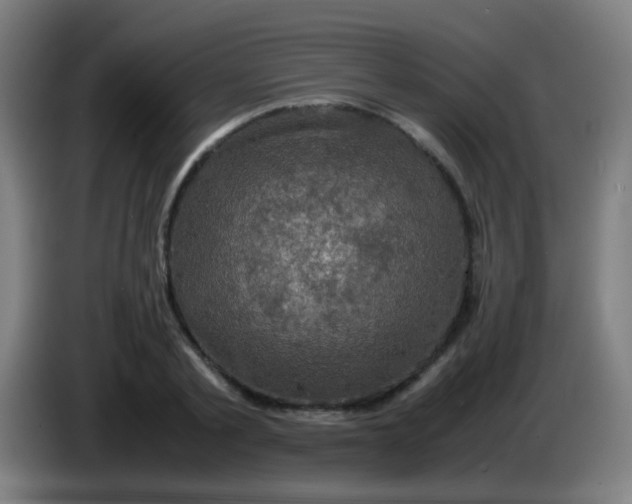 X0000085230789200703301724