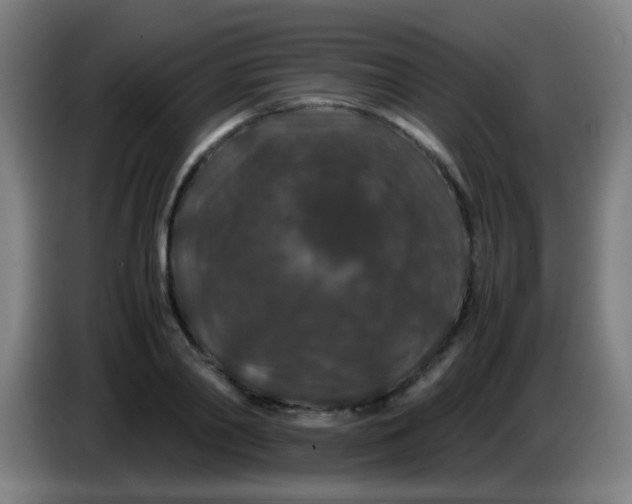 X0000085230790200703301724
