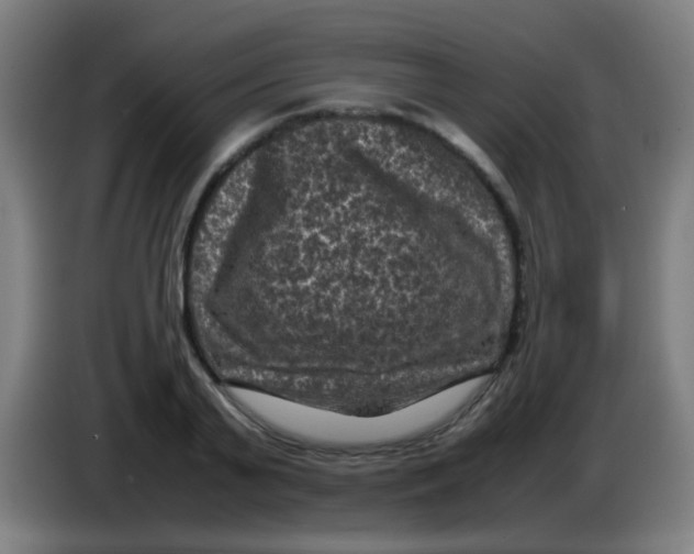 X0000085230791200703301724