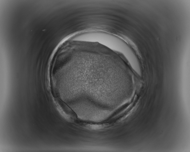 X0000085230792200703301724