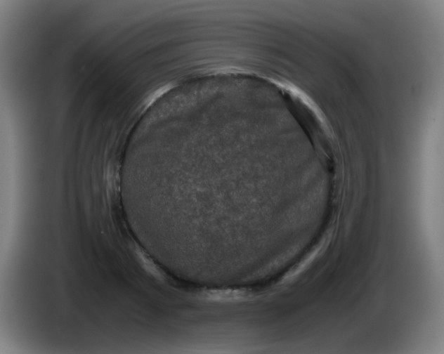 X0000085230793200703301724