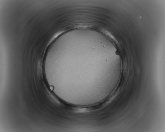 X0000085230794200703301724
