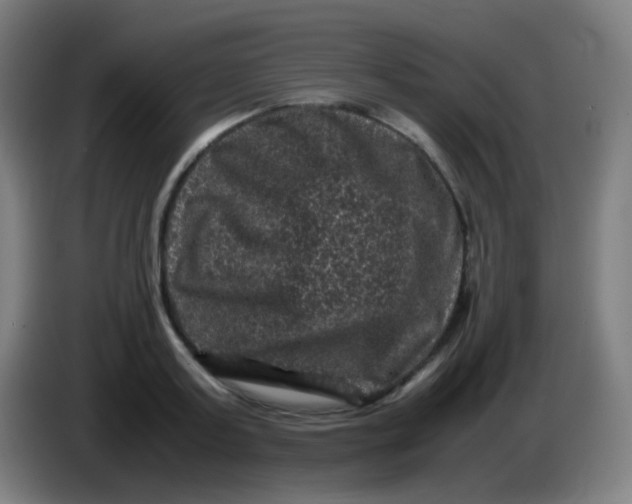 X0000085230795200703301724