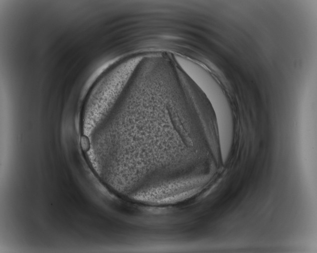X0000085230796200703301724