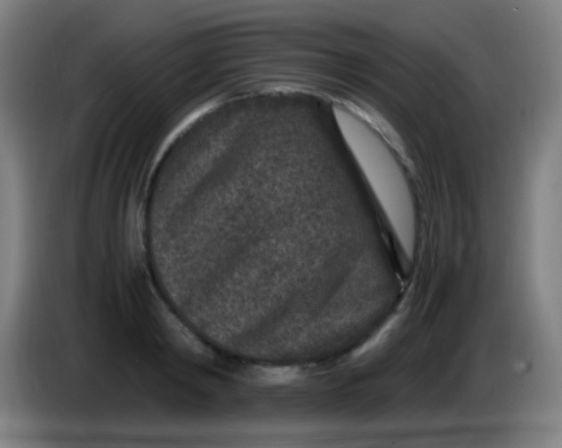 X0000085230798200703301724