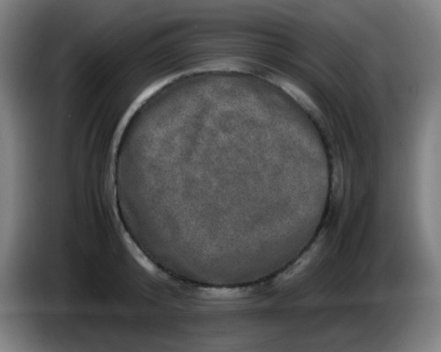 X0000085230800200703301724