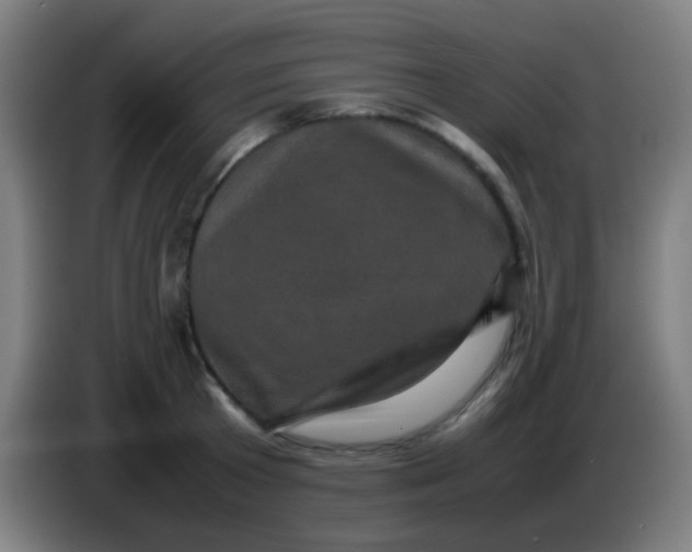 X0000085230801200703301724