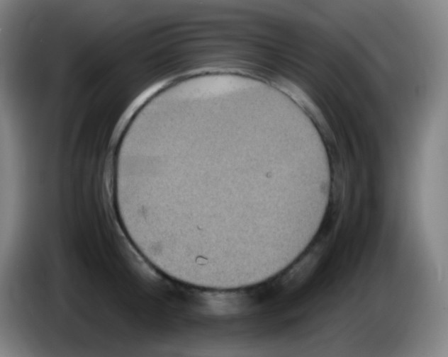 X0000085230804200703301724