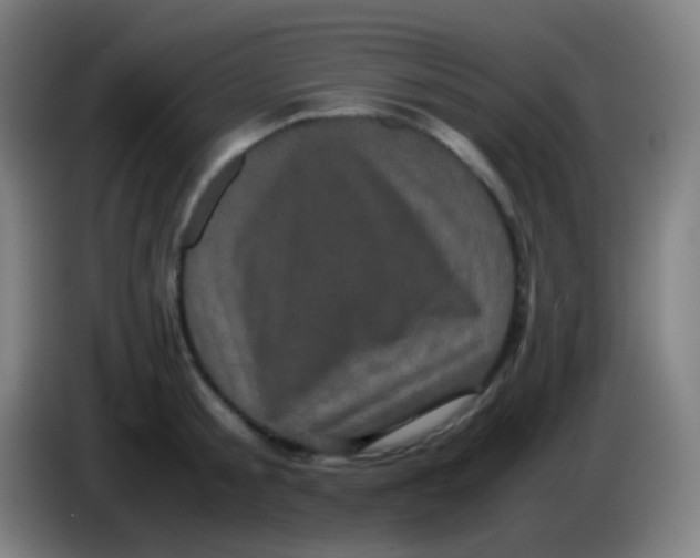 X0000085230805200703301724