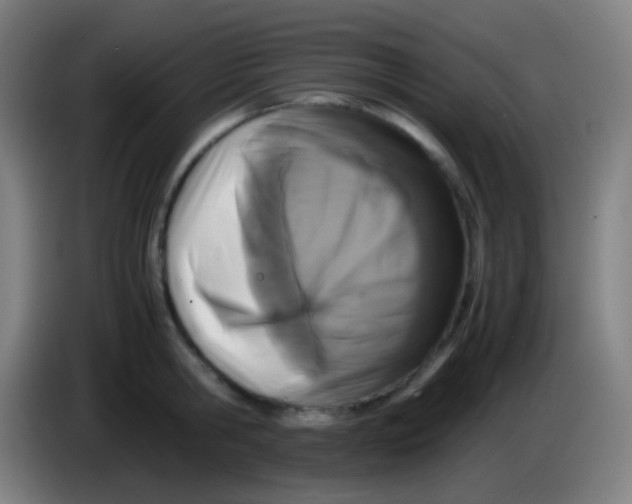 X0000085230806200703301724