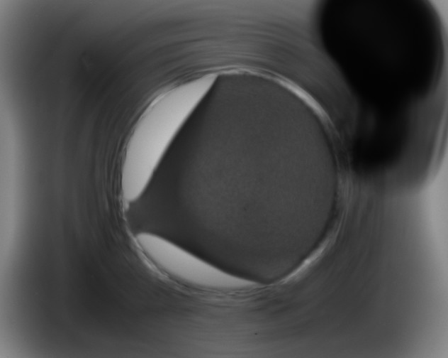 X0000085230809200703301724