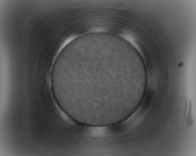 X0000085230810200703301724