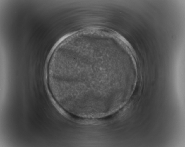X0000085230811200703301724
