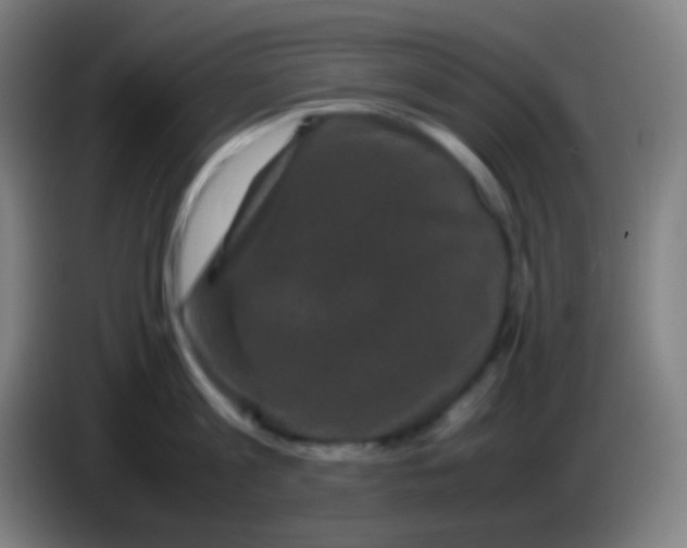 X0000085230813200703301724