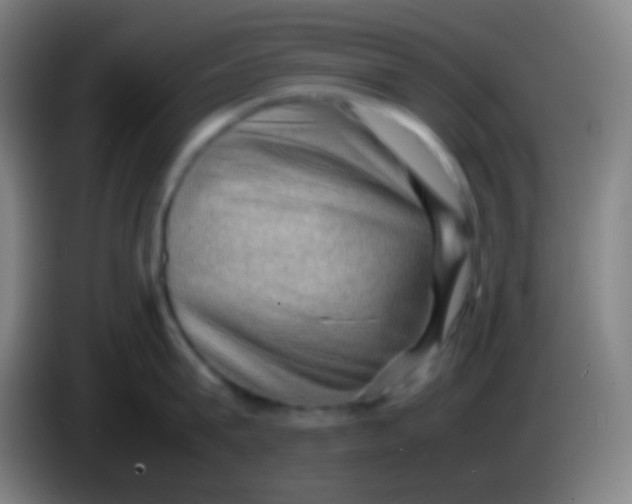 X0000085230815200703301724